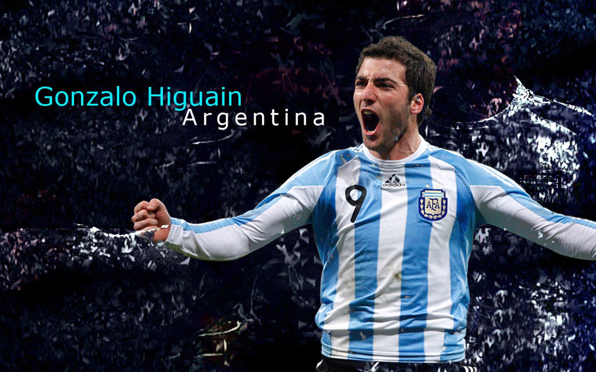 全国青少年马拉松赛掀起全民参与热潮，全国青少年马术锦标赛